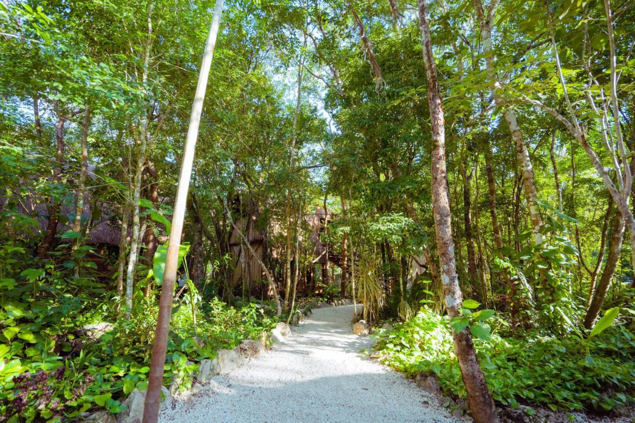 Madre Tierra Eco Habitat Casa de hóspedes Puerto Morelos Exterior foto