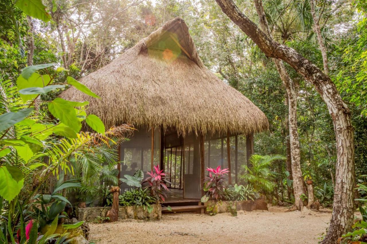 Madre Tierra Eco Habitat Casa de hóspedes Puerto Morelos Exterior foto