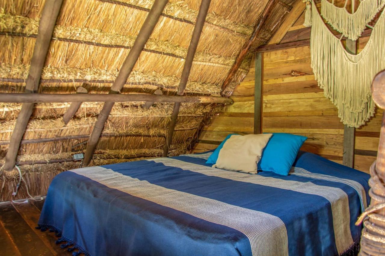 Madre Tierra Eco Habitat Casa de hóspedes Puerto Morelos Exterior foto