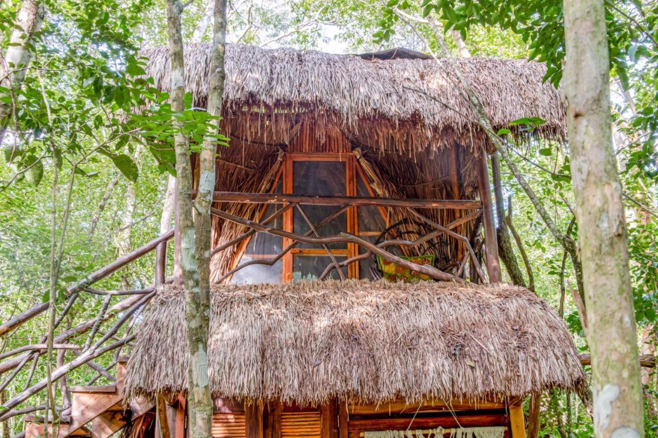 Madre Tierra Eco Habitat Casa de hóspedes Puerto Morelos Exterior foto