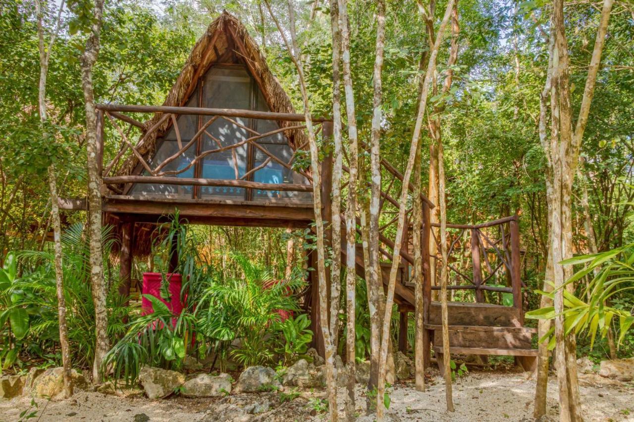 Madre Tierra Eco Habitat Casa de hóspedes Puerto Morelos Exterior foto