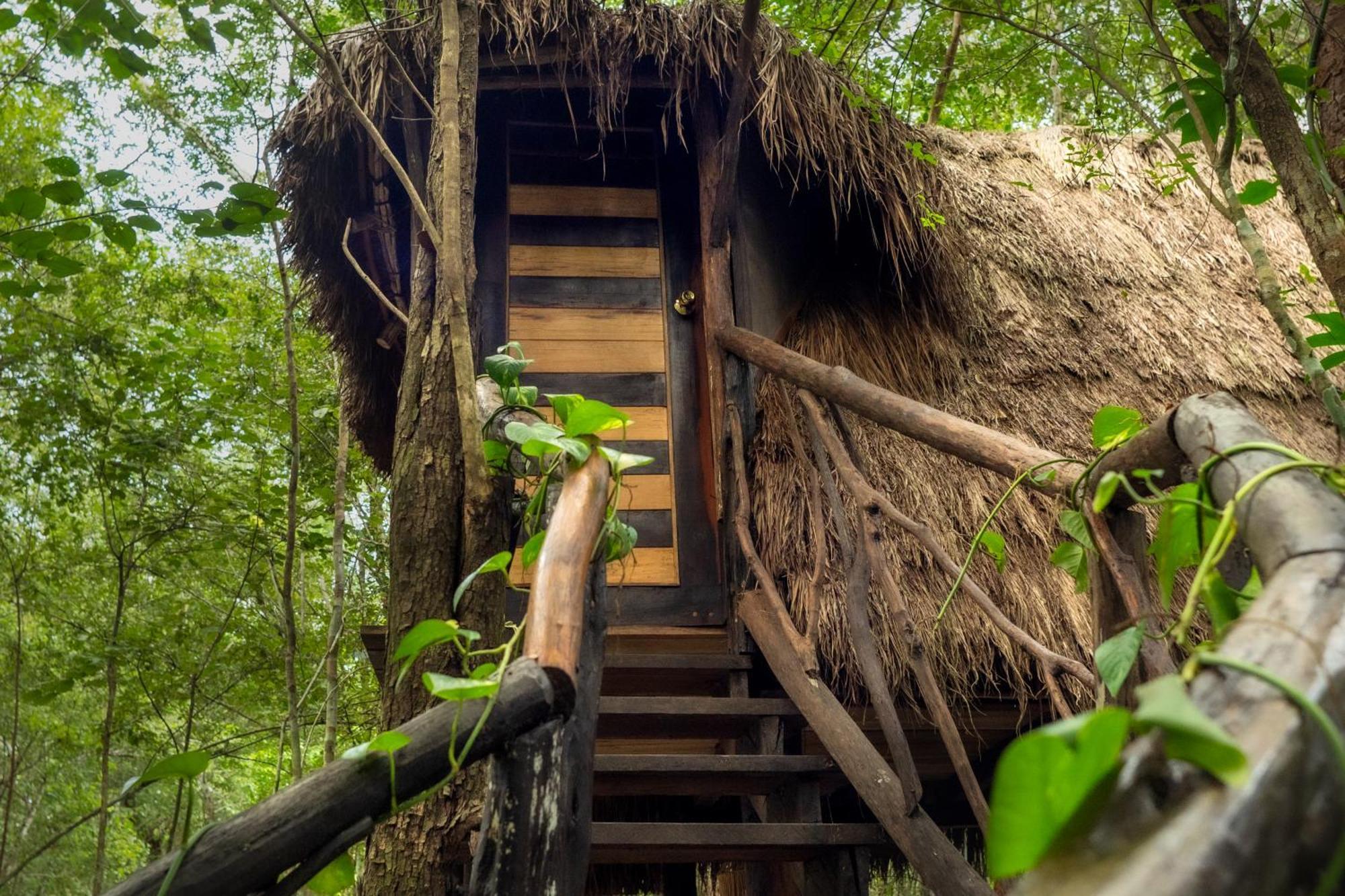 Madre Tierra Eco Habitat Casa de hóspedes Puerto Morelos Exterior foto